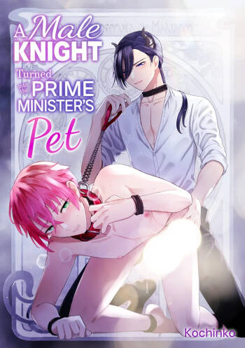 A Male Knight Turned Into the Prime Minster's Pet cover