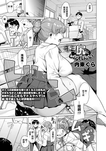キミの尻にしかれたい cover