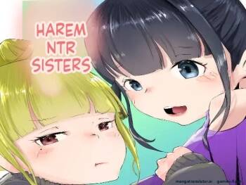 Harem Netorare Shimai cover