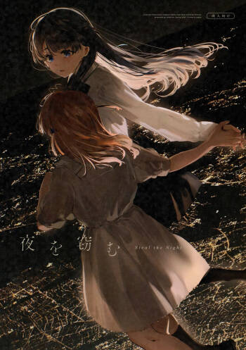 Steal the Night cover