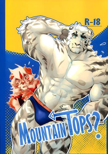Mountain Top？ cover