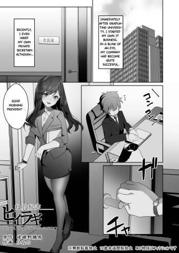 Hiiragi, the president's secretary cover