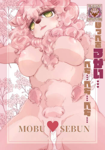 Hoppe o 3 Kai … Pechi … Pechi … Pechi … cover