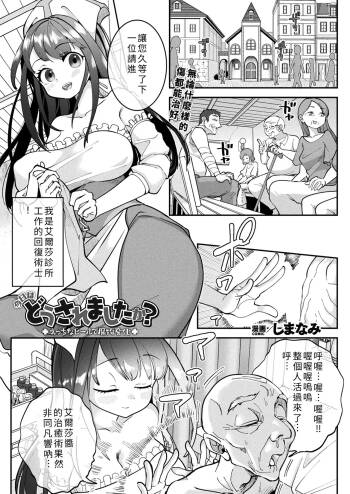 Kyō wa dō sare mashita ka? ~Ecchi na hīru de mamono henka~ cover