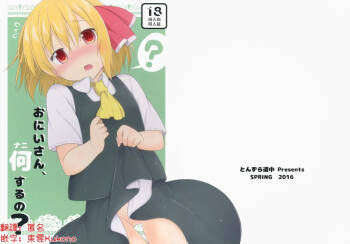 Onii-san, Nani Suru no? | 哥，这什么啊 cover