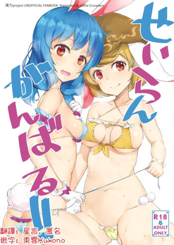 Seiran Ganbaru | 清蘭加油啊！ cover