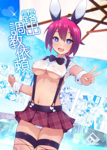Roshutsu Choukyou Irai |露出調教依頼 cover