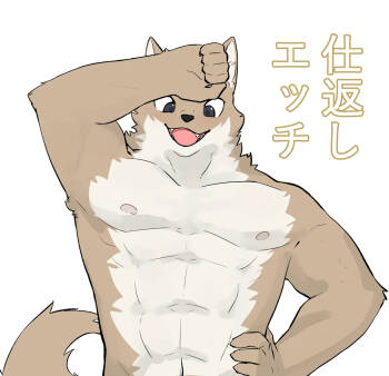 Shikaeshi Echi cover