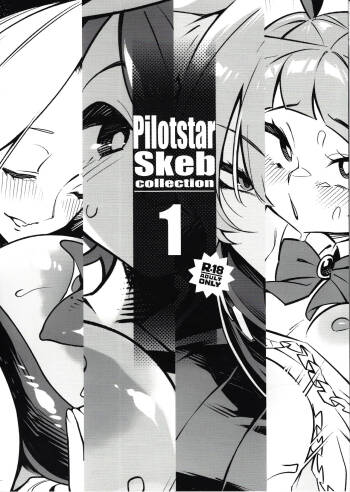 Pilotstar Skeb collection 1 cover