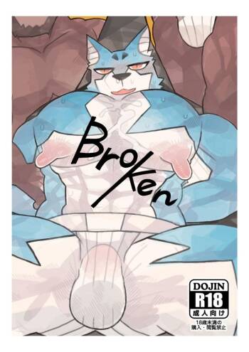 broken cover