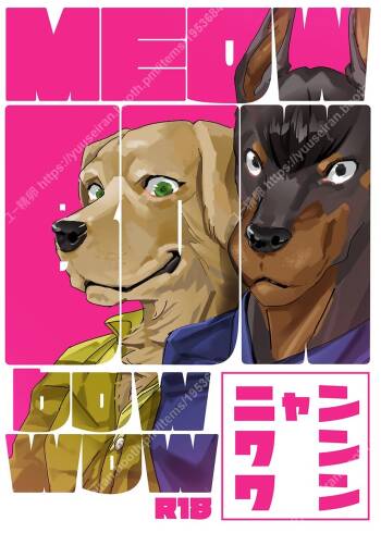 meow bow dow wow cover