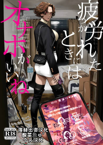 Tsukareta Toki ni wa Onaho ga Ii ne | 疲惫的时候还是飞机杯最棒呢 cover