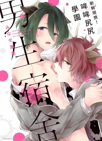 Shiboritate! Cow Cow Gakuen no Danshiryou︱新鲜现挤！哞哞尻尻学园男生宿舍 cover