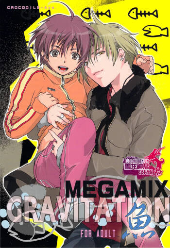 Megamix Gravitation Sakana cover