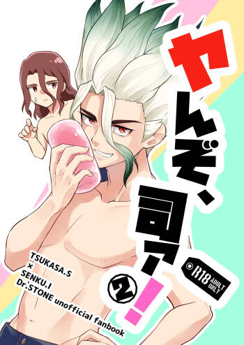 ヤんぞ、司ァ！２ cover