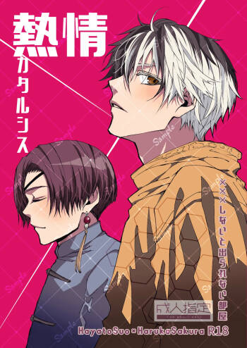 熱情カタルシス ー×××しないと出られない部屋ー cover