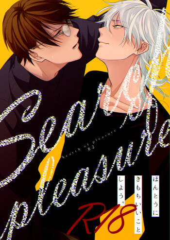 Search of pleasure cover