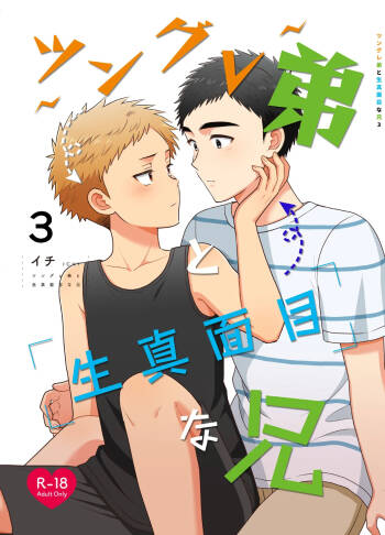 Tsungure Otouto to Kimajime na Ani 3 cover