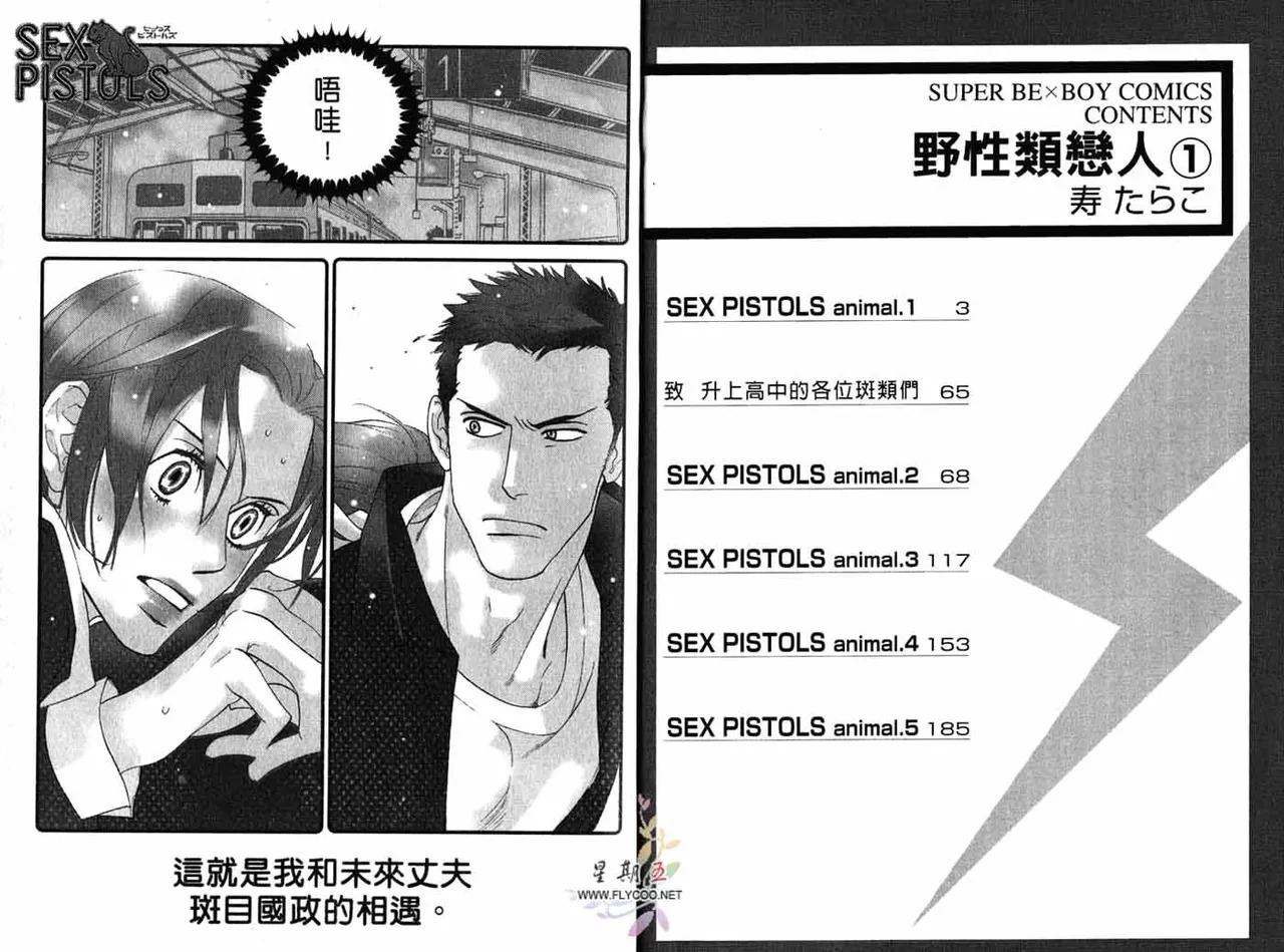 SEX PISTOLS 野性類戀人  Vol. 1 page 3 full