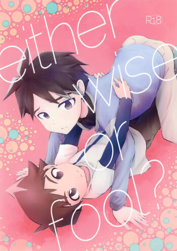 either wise or fool? cover