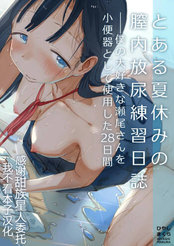 Toaru Natsuyasumi no Chitsunai Hounyou Renshuu Nisshi - Boku no Daisuki na Seo-san o Shoubenki toshite Shiyou Shita 28-nichikan cover