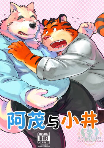 Mosage to Igeta cover