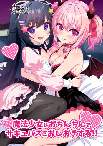 魔法少女はおちんちんでサキュバスをおしおきする!! cover