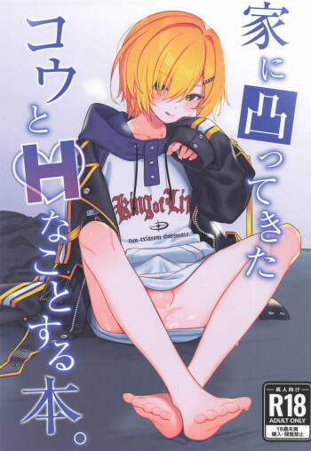 家に凸ってきたコウとHなことする本 cover