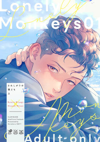 Lonely Monkeys 01 cover