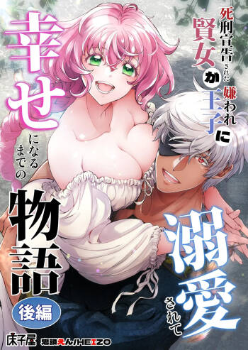 Shikei Senkoku Sareta Kenjo ga Kiraware Ouji ni Dekiai Sarete, Shiawase ni Naru made no Monogatari Kouhen | The Condemned Wise Woman and The Loathsome Prince Who Adores Her 3 cover