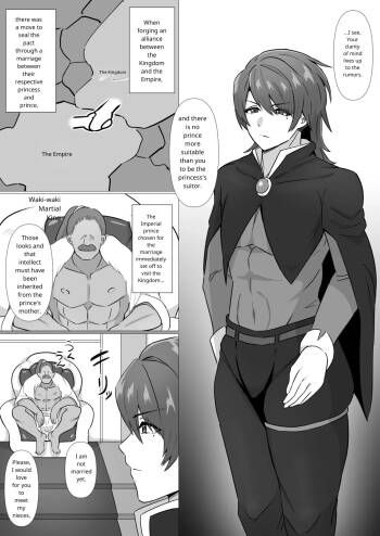 straight to gay prince cover