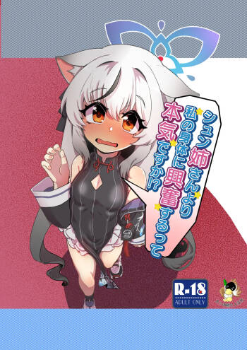 Shun Nee-san Yori Watashi no Karada ni Koufun suru tte Honki desu ka!? cover