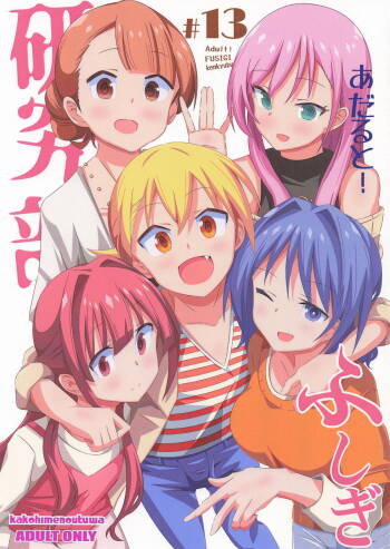 あだると!ふしぎ研究部13 cover