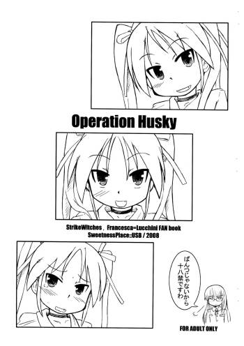 Operation Husky cover