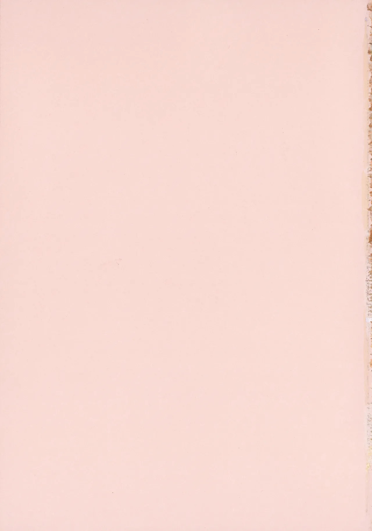 Amoral Island Jou + Melonbooks 8PLeaflet + ClearFile page 6 full