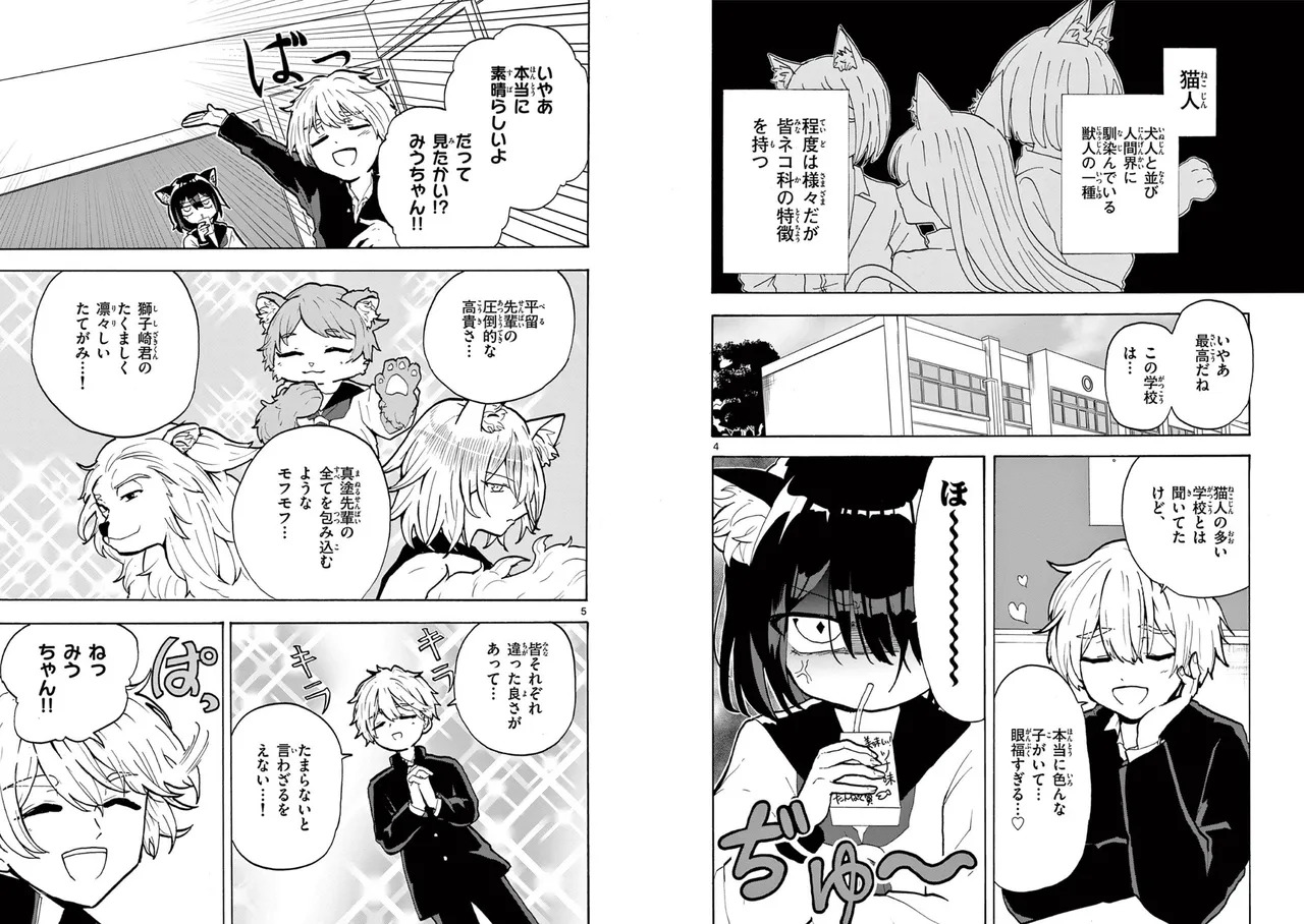 【柴田橋】Miu-chan's NO.1 ! page 4 full