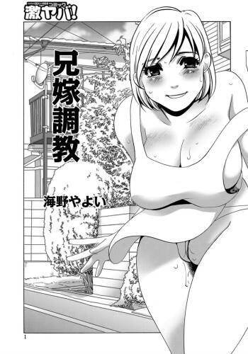 Aniyome Choukyou cover