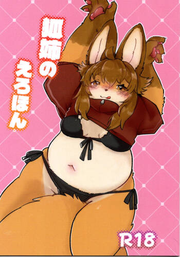 Fox Sister's Erotic Book cover