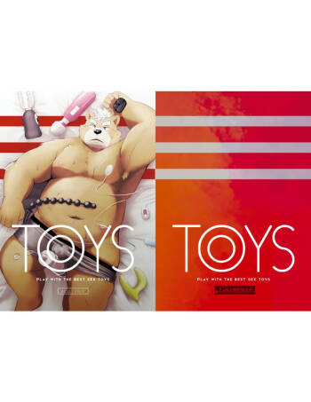 TOYS cover