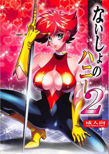 Naisho no Honey 2 cover