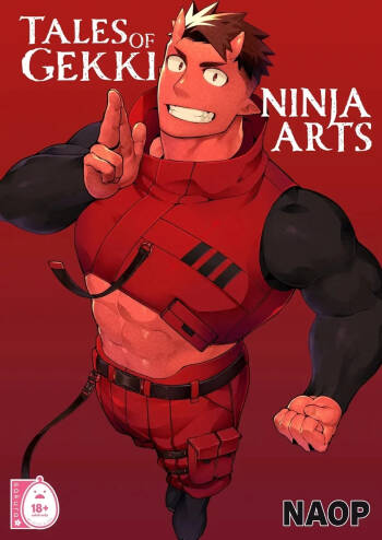 Naop  - Tales of Gekki Ninja Arts cover