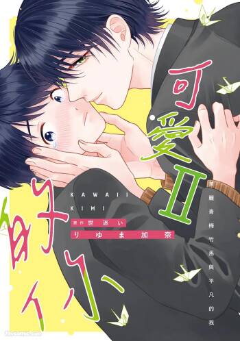 Kawaii Kimi Ⅱ～Bijin na Osananajimi to Heibon na Boku～︱可爱的你 Ⅱ～美丽青梅竹马与平凡的我～ cover