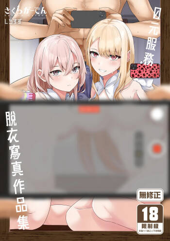 Hokomi 0-yen Kosatsu Hamedori Portrait cover