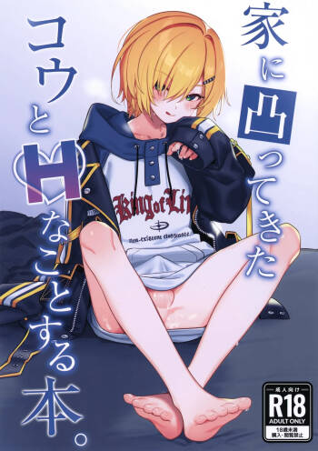 Ie ni Totte Kita Kou to Ecchi na Koto Suru Hon. cover