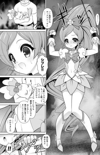 Cure Blossom Manga cover