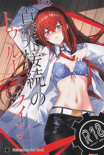 Steins Gate cover