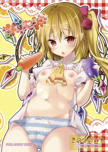 Pure Frandle cover