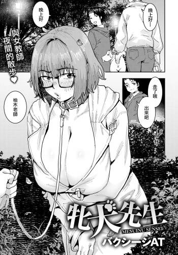 牝犬先生 cover