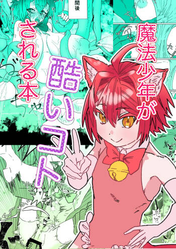 魔法少年が酷いコトされる本 cover