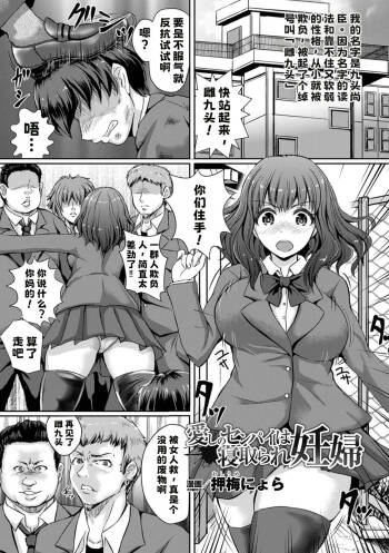 愛しのセンパイは寝取られ妊婦【中文翻译】 cover